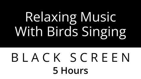 Relaxing Music With Birds Singing Beautiful Piano Music Soothing 5 Hours Black Screen