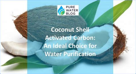 Coconut Shell Carbon An Ideal Choice For Water Purification Water Treatment