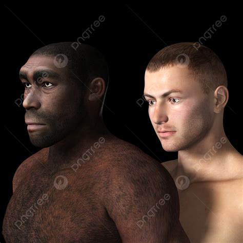 Fondo Homo Erectus Especies Ancestros Homo Erectus Foto E Imagen Para Descarga Gratuita Pngtree