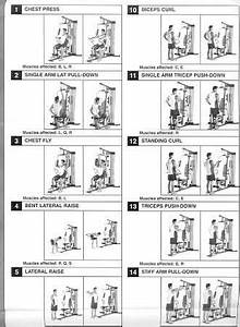 Golds Gym Xr45 Home Gym Exercise Chart Exercise