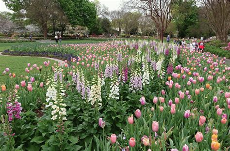 Selecting plants for landscaping hardiness and low maintenance. 8 Mistakes That Drive Landscapers Crazy - Southern Living