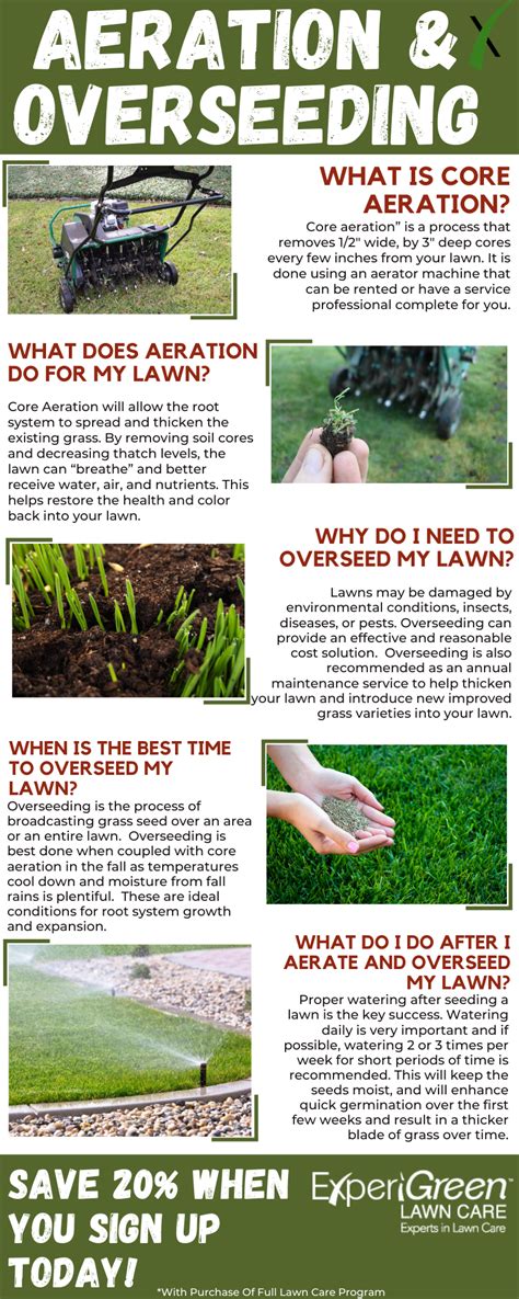 Aeration + overseeding for a beautiful lawn. Aeration & Overseeding 101 | Fall lawn care, Fall lawn, Overseeding lawn
