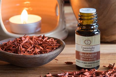 Reasons for mlm essential oil prices being so high. Sandalwood Oil | Best Sandalwood Essential Oil in Australia