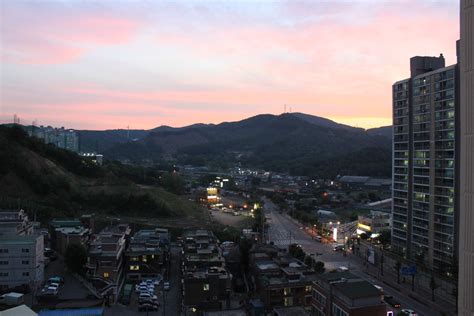 Blood, rice and noodles: Last days in Gwangju-si