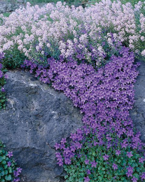 304 Best Rock Gardens And Ground Covers Images On Pinterest