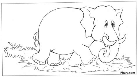 Elephant Coloring Page Pitara Kids Network