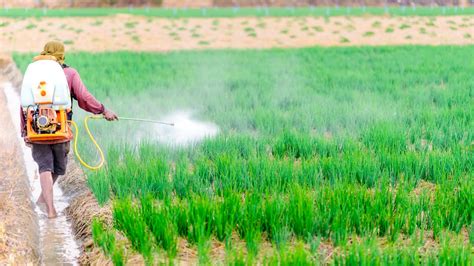 Hrms Screening For Multiple Pesticide Residues In Food