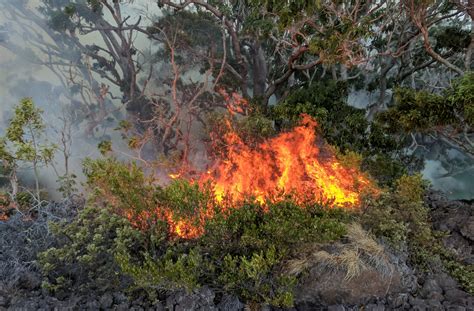 Firefighters Battle Brush Fire On Mauna Loa
