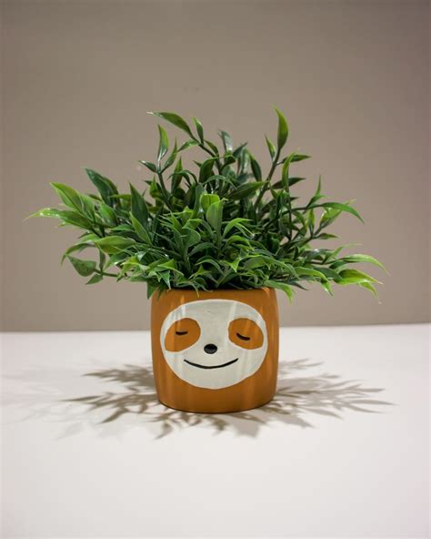 Legit online dispensary shipping worldwide, colorado dispensary shipping worldwide, 420 mail order usa, 420 mail order worldwide, canada dispensary worldwide shipping. How cute is this sloth planter?! 🦥 Come in store or visit ...
