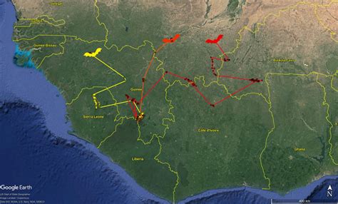 Searching For The Ebola Reservoir New Scientific Data Portal Maps Bat