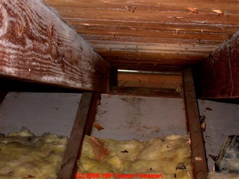 Attic Mold Mold In Attics A How To Photo And Text Primer On Finding And Testing For Mold In