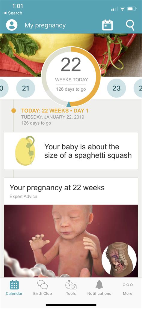 12 Of The Best Pregnancy Apps Much Most Darling Realistic And