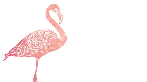 Freebies Pink Flamingo Desktop Wallpapers Oh So Lovely Blog