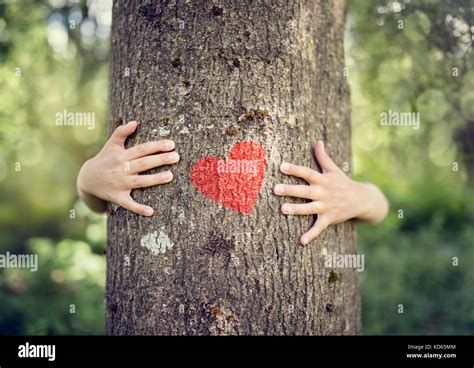Tree Hugging Little Boy Giving A Tree A Hug With Red Heart Concept