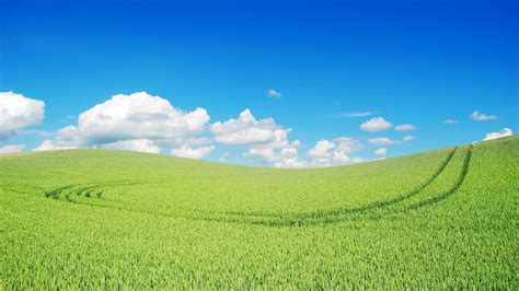 2560x1440 Green Landscape Beautiful 1440p Resolution Hd 4k Wallpapers