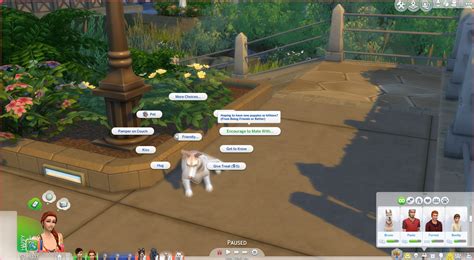 Sims 4 Pet Mods Gindown