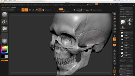 The best adobe photoshop learning experience out there: ArtStation - Skull Bundle - 3D Model, Timelapse Videos ...