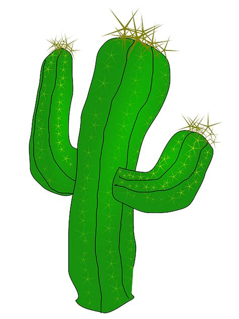 Cactus Png Clipart 10 Free Cliparts Download Images On Clipground 2022