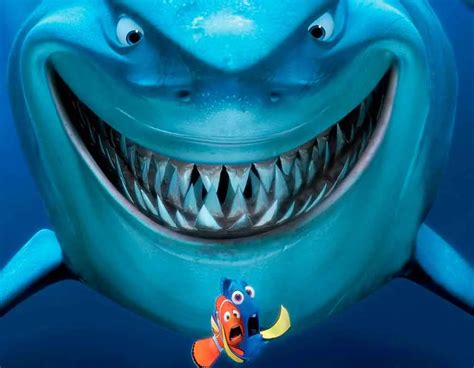 As Melhores Curiosidades De Procurando Nemo Minha Série Favorita