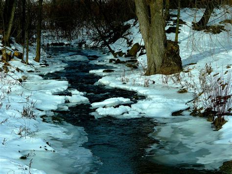 Snowy Stream Photograph By Elizabeth Holland