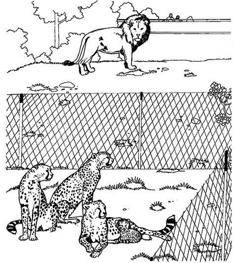 Cheetah coloring pages are a good way for kids to develop their habit of coloring and painting, introduce them new colors, improve the creativity and motor skills. Baby Cheetah For Coloring Pages - Coloring Home