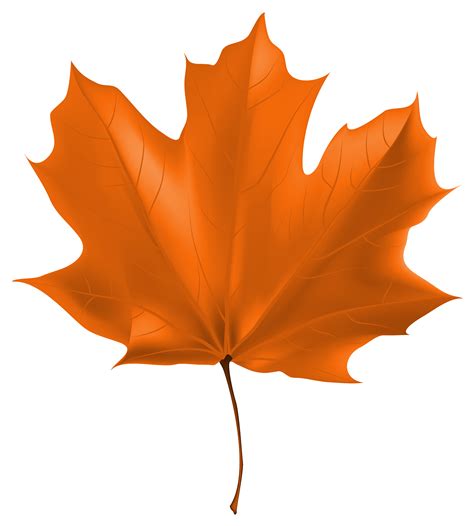 Orange Autumn Leaves Clipart Transparent Background Clip Art Library