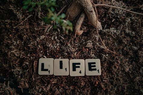 Scrabble Tiles On Soil Spelling The Word Life · Free Stock Photo