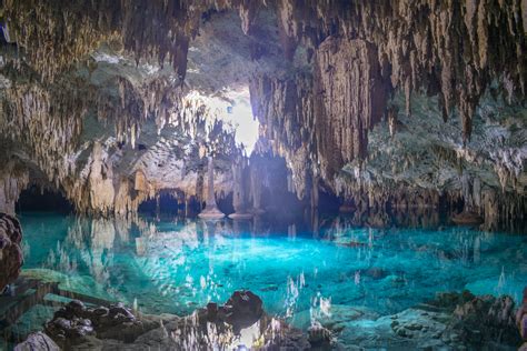 Divers Discover Two Underwater Caves In Mexico Are Actually The World S Free Nude Porn Photos