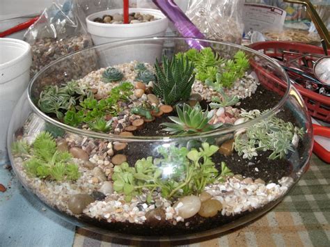 What to expect with garden maintenance. Diana's Garden: My First Mini Garden's