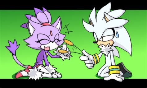 Silver And Blaze Sonic The Hedgehog Photo 23175431 Fanpop