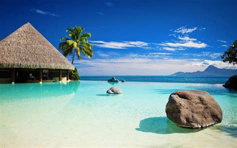 Tropical Beach Screensavers And Wallpaper 67 Images