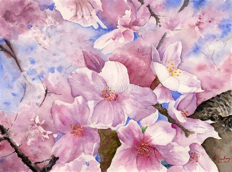 Cherry Blossom Sakura Art Watercolor Painting Print By Suisai Genk