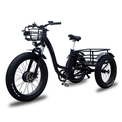 24 Inch 750w Fat Tire Electric Bike Cargo Tricycle With Rear Seats And