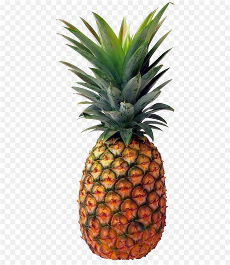 Gambar Kolase Nanas - Koleksi Gambar HD