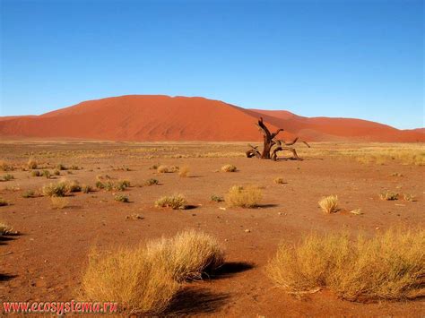Namibia And South Africa Natural Landscapes And Nature Objects