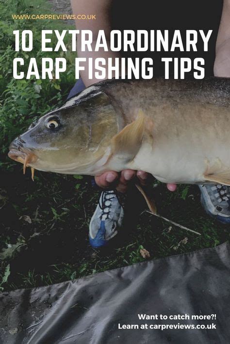 10 Amazing carp fishing tips for beginners #carpfishingtips #