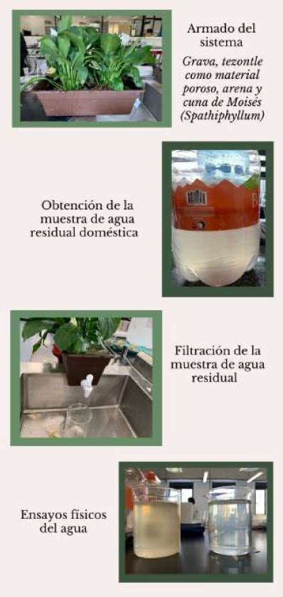 Sistema De Biofiltro Para El Tratamiento De Aguas Domésticas