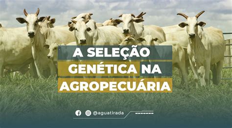 Exemplos De Mutações Induzidas Na Agropecuária