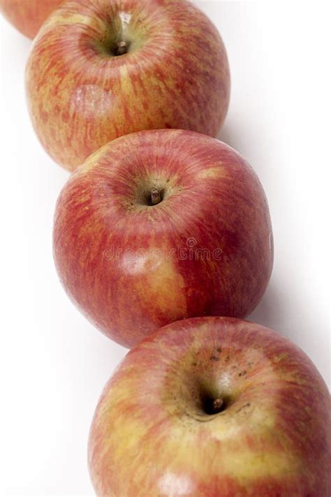 Freshly Picked Gala Apples Stock Photo Image Of Fruit 28735364