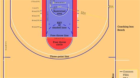Olympic Basketball Court Measurements Nba Vs Fiba Seven Rules To Play