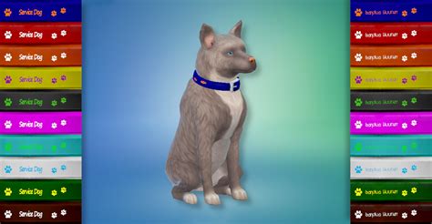 Mod The Sims Service Dog Collars