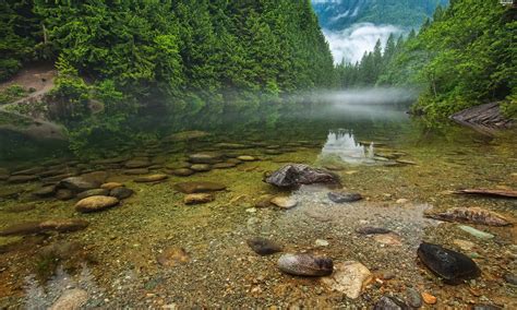 Forest Canada Stones Fog Lake Beautiful Views Wallpapers 4288x2573