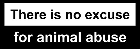 There Is No Excuse For Animal Abuse Sticker Pet Car Bumper Sticker