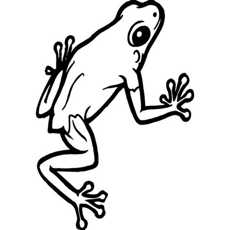 Frog Image 2 Royalty Free Stock Svg Vector