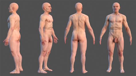 Anatomia Hombre Anatomia Artistica Anatomia Images The Best Porn