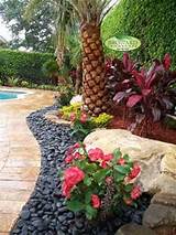 Pictures of Landscape Supply West Palm Beach