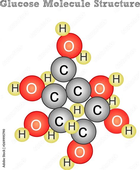 Glucose Molecule Structure The Molecular Formula For Glucose Is