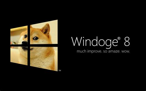 Doge wallpaper 1920x1080 87 images. Free download Windoge 8 Black Doge Wallpaper 1920x1080 26399 1920x1080 for your Desktop ...
