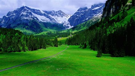 Greenery Swiss Alps Mountain With Fog Hd Nature Wallpapers