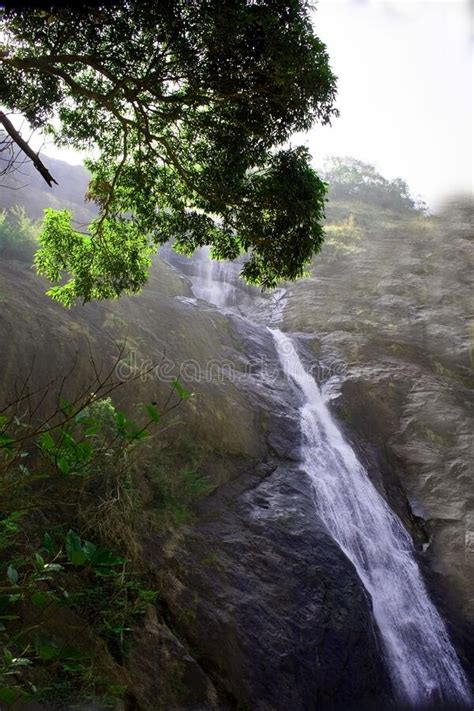 Great Waterfalls Of South India Stock Image Image Of Kollam Forest